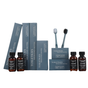 Hotel Amenities Eco-Friendly Disposable Set Box Package Includes Toothpaste Dental Kit Comb-Biodegradable Toiletries for Travel