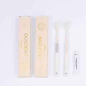 Custom Logo Disposable Toothbrush and Toothpaste Set Luxury Hotel Amenities Toothbrushes Hotel Supplies