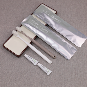 Manufacture Customized Disposable Hotel Amenities Dental Kit Hotel Toothbrush With Toothpaste