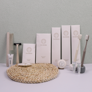 Disposable Hotel Bathroom Amenities Set Toiletries Dental Kit with Toothbrush and Toothpaste for In-Room Use